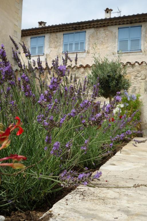 Le Jardin Du Village - Valbonne Rum bild