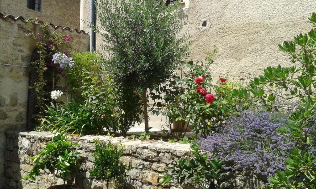 Le Jardin Du Village - Valbonne Rum bild